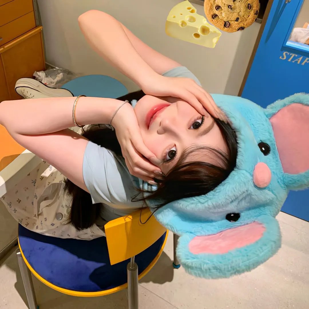 猫和老鼠：海盗寻宝